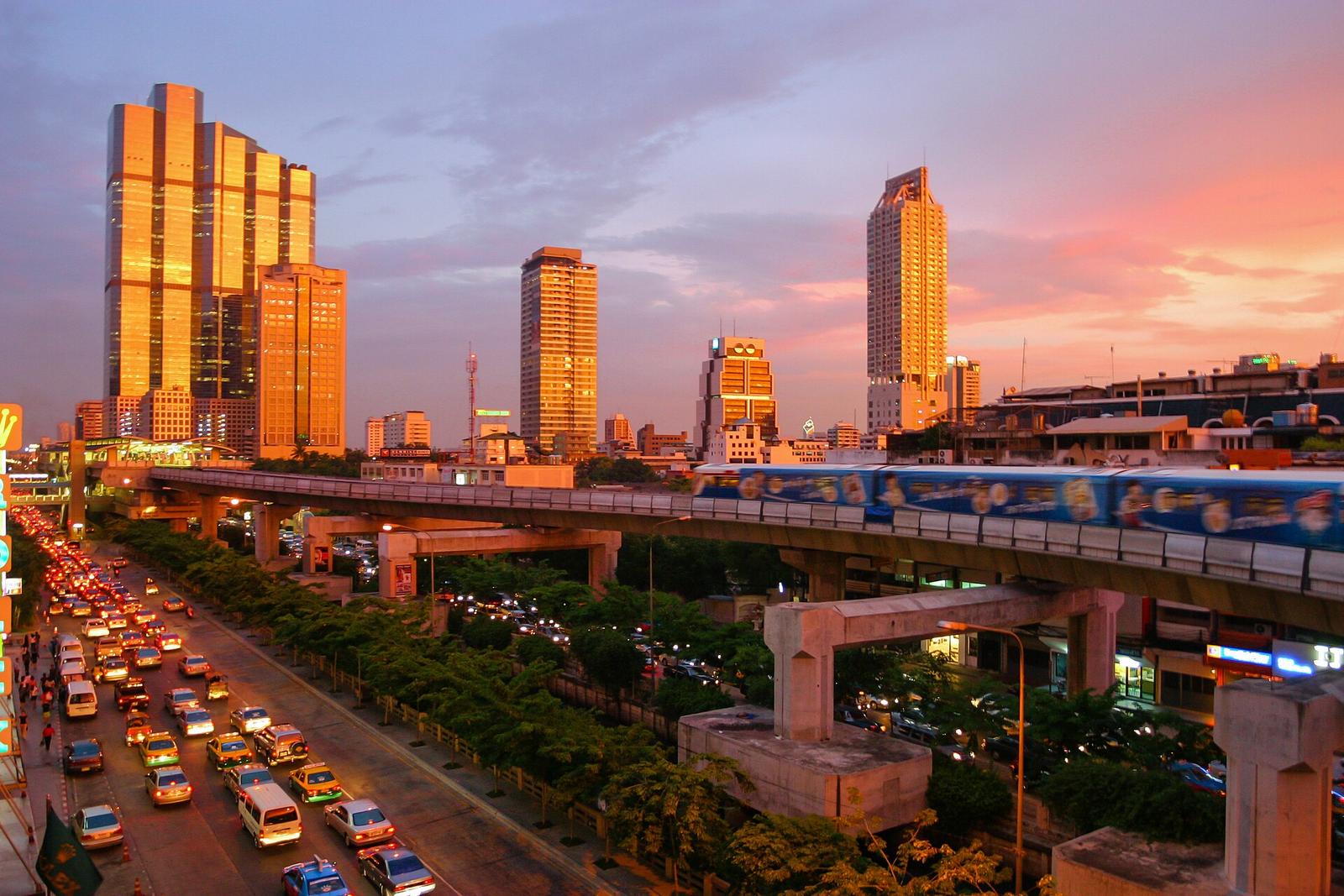 Bangkok Enforces New Pet Registration Rules for Dogs and Cats