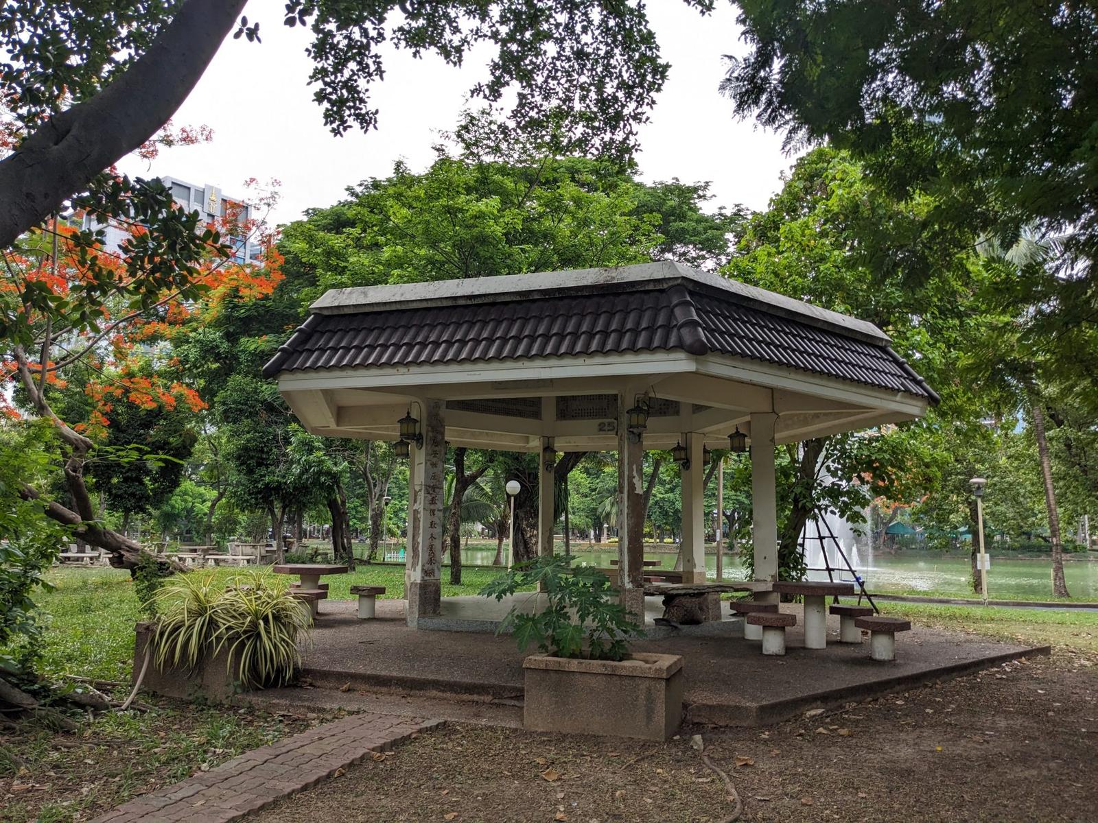 Bangkok Wellness Resources: Local Fitness Trends and Practical Information for Residents